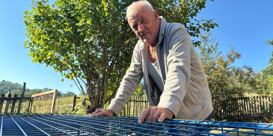 Bio je mrvica od nepunih kilogram! Periša u kukuruzu pronašao lane, evo šta će s njim da uradi