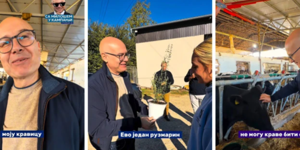 Vučević obišao gazdinstvo u Bačkoj Palanci, vrednoj Sofiji doneo i poklon: U štali ih je čak 400, a Bikica ga je posebno oduševila (VIDEO)