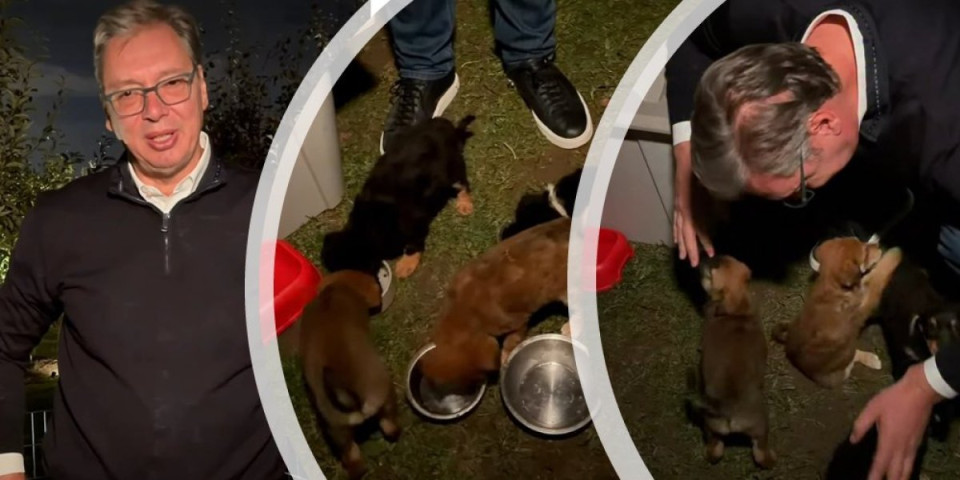 Maza, Lunja, Kika i Mićko osvojili Vučićevo srce! Vi ste izabrali njihova imena: Pogledajte snimak koji je raznežio Srbiju (VIDEO)