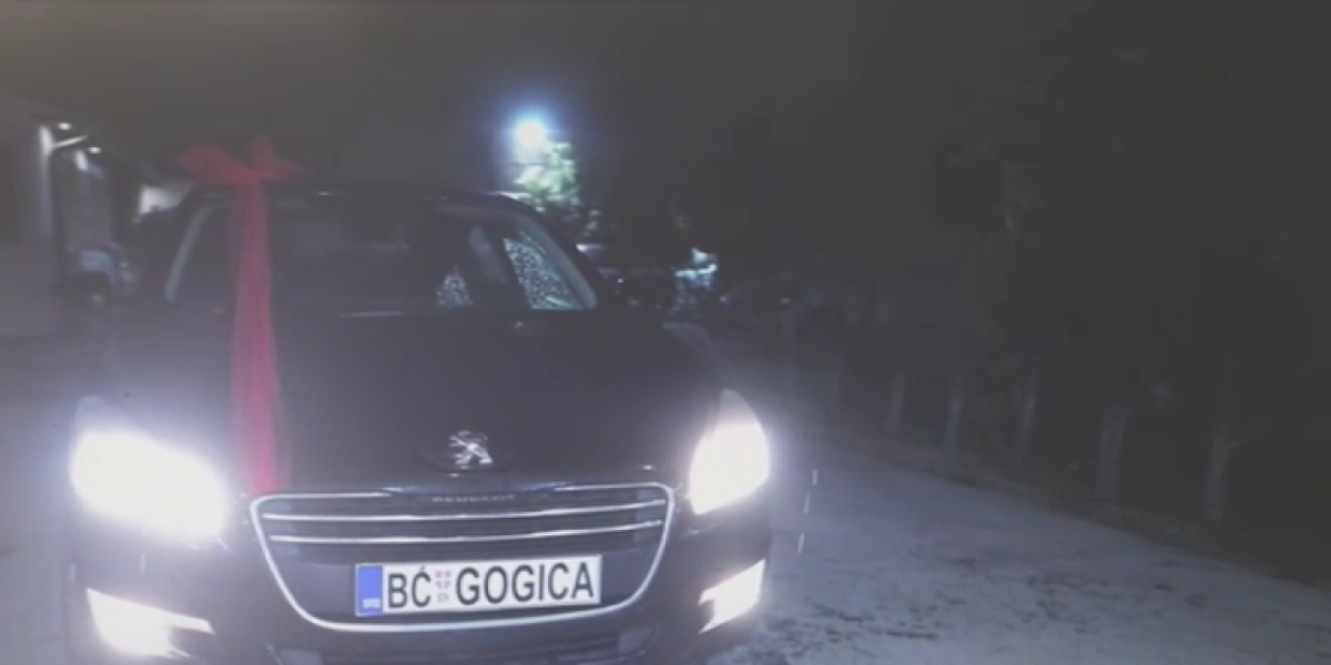 Nagrada za Gogicu