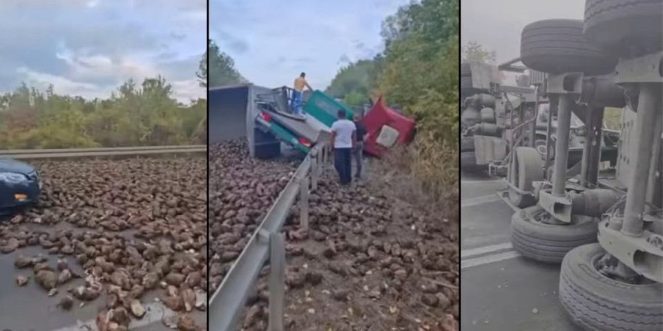 Putnik krvav, šećerna repa rasuta svuda po putu: Potpuni karambol na putu Novi Sad-Zrenjanin (VIDEO)