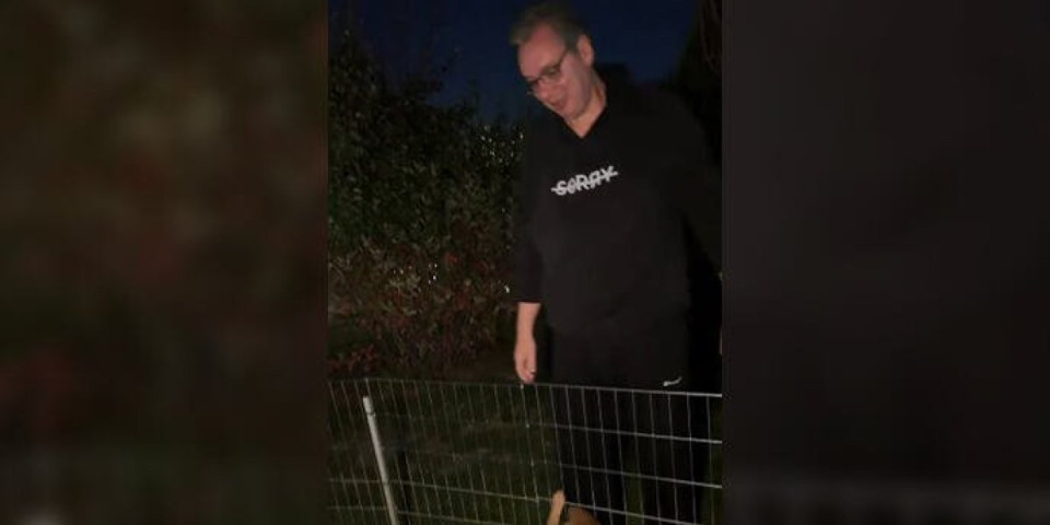 Vučić nakon noći obeležene nasiljem pokazao gde pronalazi mir: Objavio snimak sa svoja četiri ljubimca